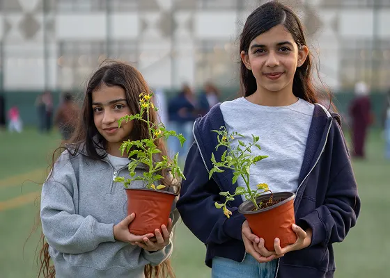 Sustainability Initiatives